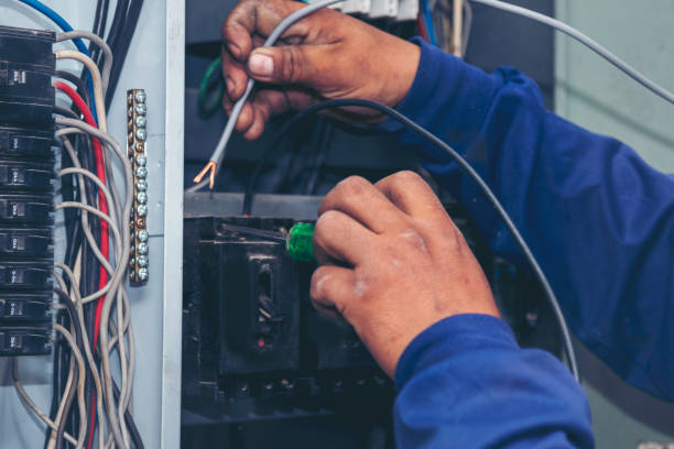 Best Affordable Electrician  in Harper Woods, MI